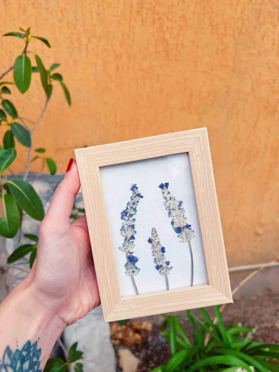 Quadro fiori veri secchi. Decorazione murale floreale.Regalo artigiana –  BeFloral Shop