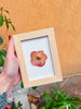 Quadro fiori veri secchi. Decorazione murale floreale. Wall Art. Erbario Botanico.Regalo amante della natura. Cornice di fiori pressati