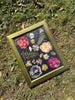 Quadro fiori veri secchi. Decorazione murale floreale.Regalo amante della natura. Erbario Botanico.decorazione vetro fiori. Cornice di fiori pressati