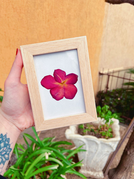 Quadro fiori veri secchi. Decorazione murale floreale.Regalo artigiana –  BeFloral Shop