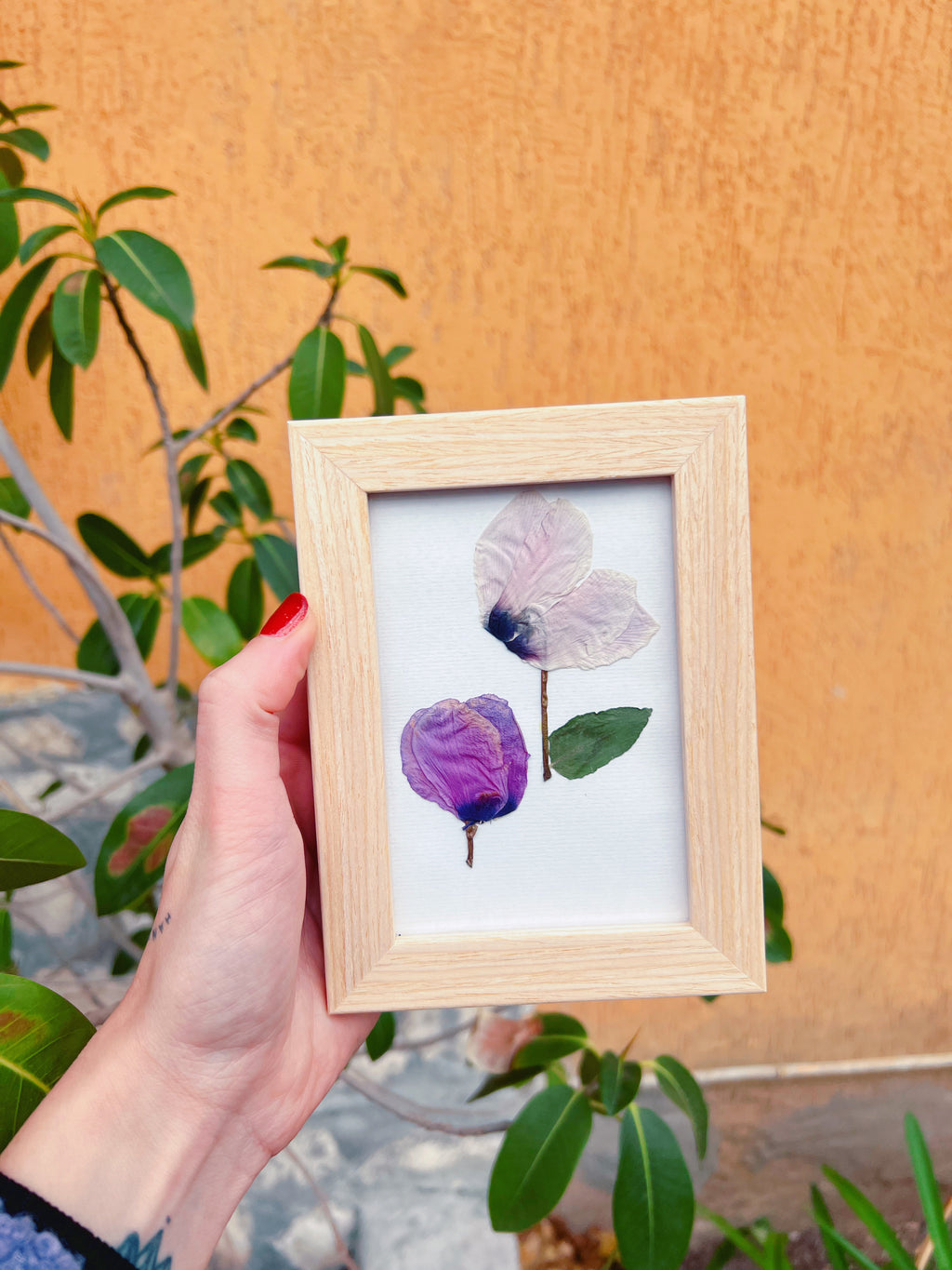 Quadro fiori veri secchi. Decorazione murale floreale. Wall Art. Erbario Botanico.Regalo amante della natura. Cornice di fiori pressati